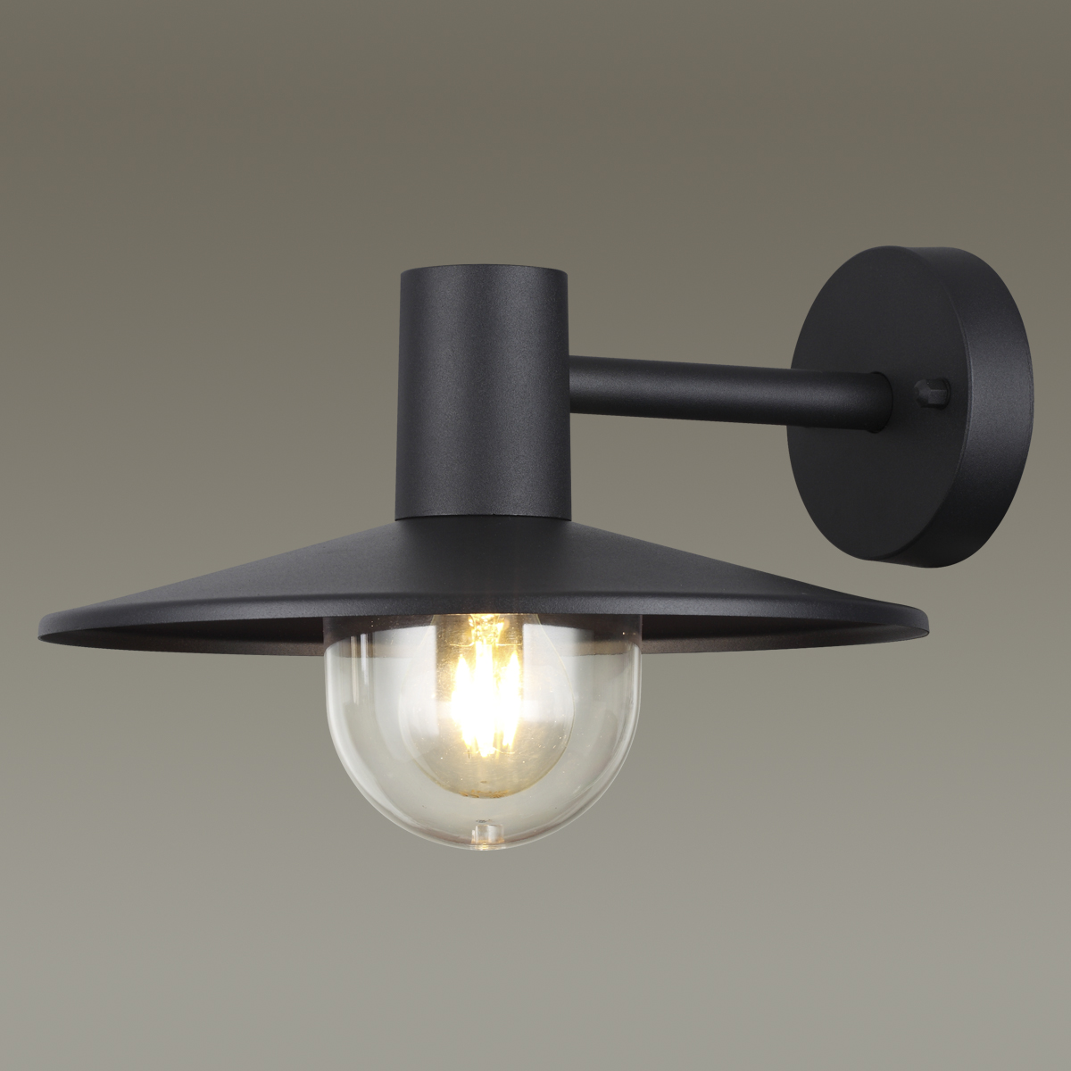 Светильник уличный настенный Odeon Light 4833/1W черный