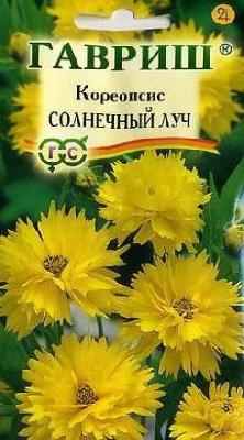 Кореопсис Солнечный луч многолетний Гавриш