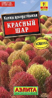 Кохия Красный шар Аэлита