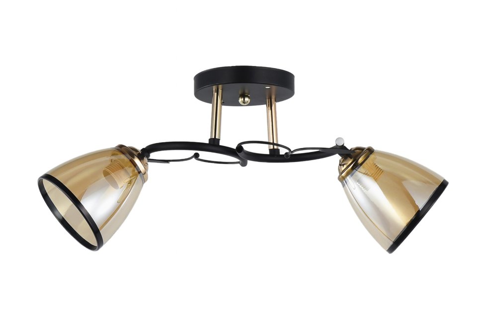 Светильник Мелодия Света Д10134/2 FG+BK (E27, 40W)