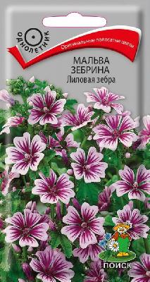 Мальва зебрина Лиловая зебра Поиск
