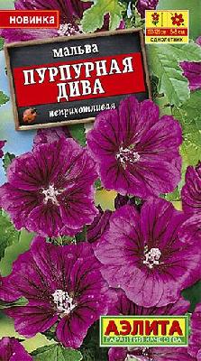 Мальва Пурпурная дива Аэлита