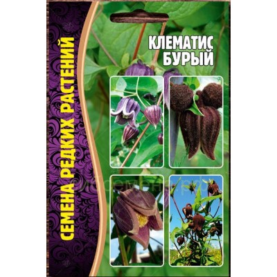 Клематис Бурый Семена редких растений