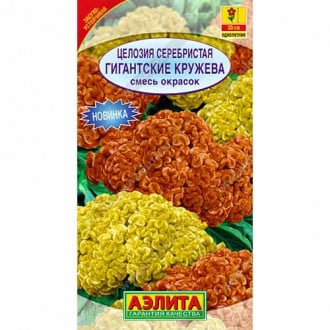 Целозия серебристая Гигантские кружева Аэлита