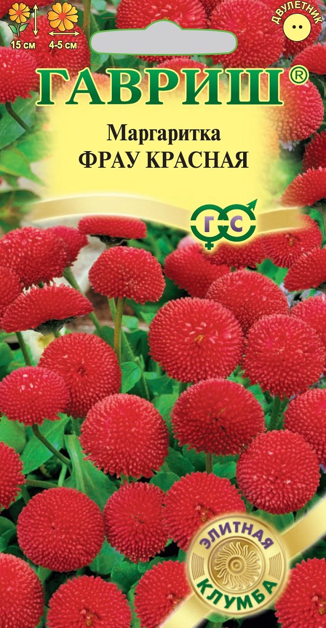 Маргаритки Семена Купить