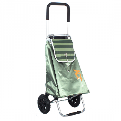 Сумка-тележка Joy Home Flexi зеленая 30кг