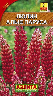 Люпин Алые паруса (Аэлита)