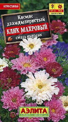 Космея махровая Клик Аэлита