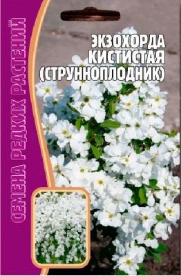 Экзохорда Кистистая Семена редких растений