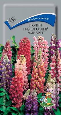 Люпин Минарет низкорослый смесь Поиск