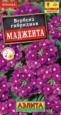 Вербена Маджента Аэлита