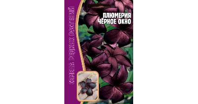 Плюмерия Черное окно Семена редких растений