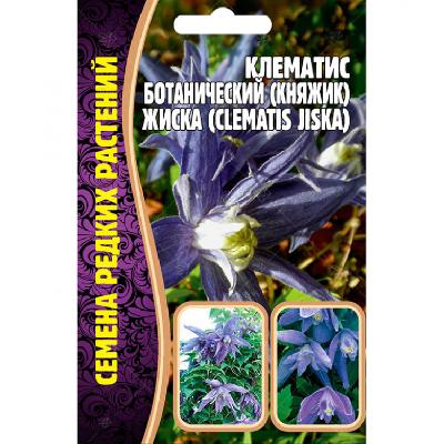 Клематис Княжик красивый Семена редких растений