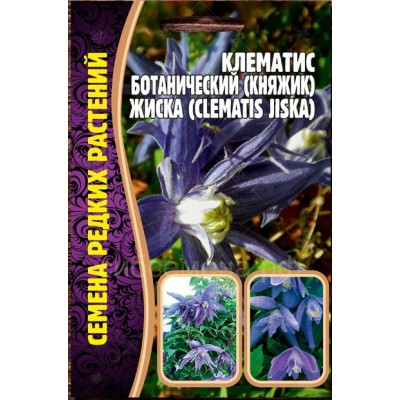 Клематис Княжик Жиска Семена редких растений
