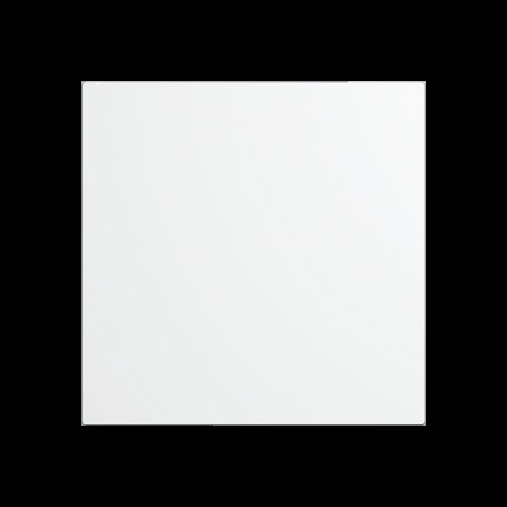 Панель декоративная AEON D100/125 175х175 пластик Matt white DICITI