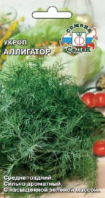 Укроп Аллигатор Седек